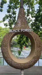 Black Forest café