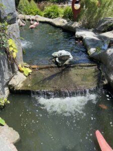 Black Forest trails `117