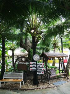 Paboon cafe 3